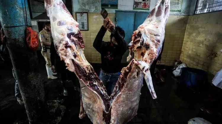 Harga Daging Sapi Melejit, Pemotongan RPH Kota Bandung Menurun