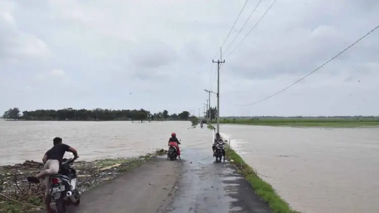 5.893 Hektare Sawah di Cirebon Gagal Tanam