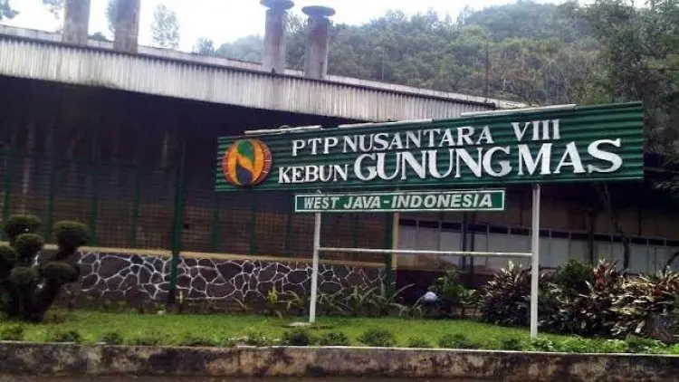 PTPN VIII Laporkan 29 Kasus Penyerobotan Lahan ke Polda Jabar
