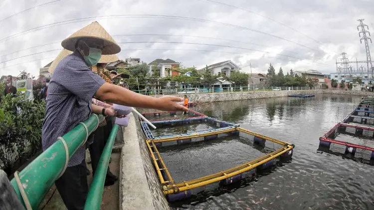 Pengelolaan Sampah, Oded Minta Aparat Kewilayahan Tiru Program Kelurahan Sukamiskin