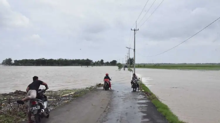 3 Ribu Hektare Lebih Sawah di Kabupaten Cirebon Gagal Tanam