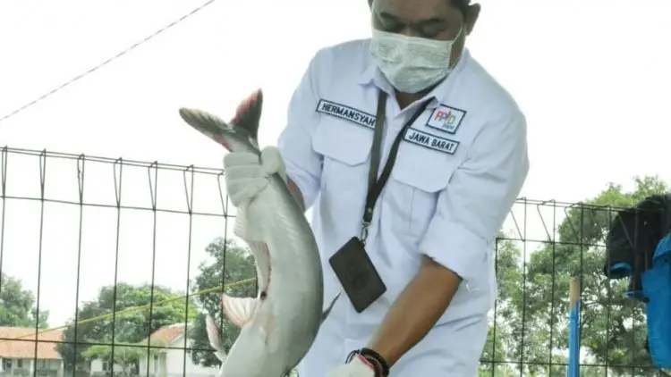 DKP Jabar Rekomendasikan Empat Komoditas untuk Petani Milenial Juara