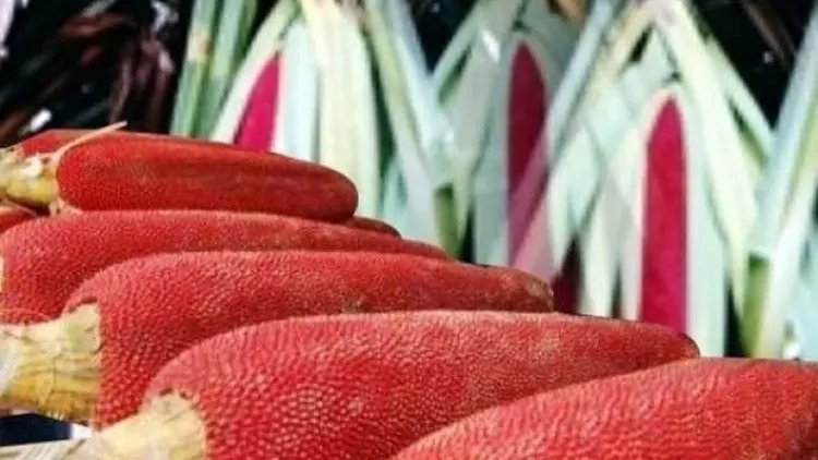 Manfaat Buah Merah Papua untuk Rambut dan Kulit