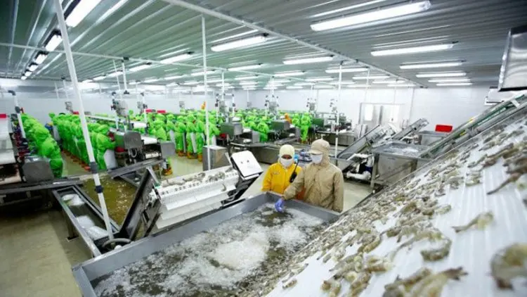 Raih Kontrak 90 Juta Dolar, PMMP Optimistis Capai Target 2021
