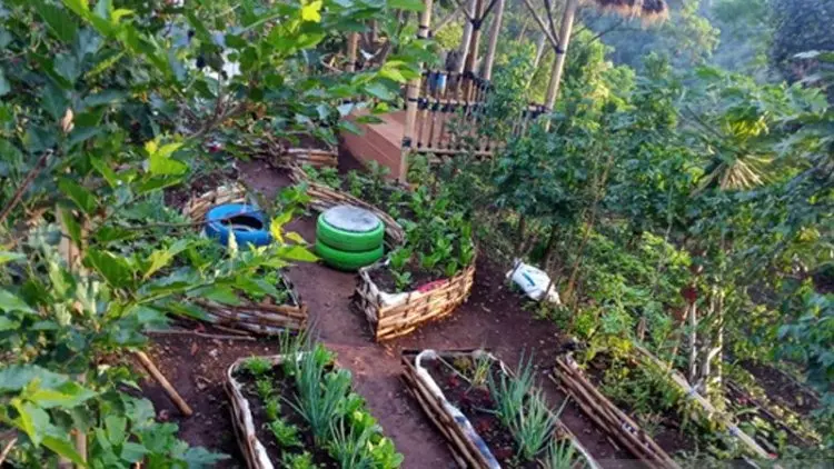Hendak Berkebun di Pekarangan Rumah pada Musim Hujan? Lakukan Ini Dulu