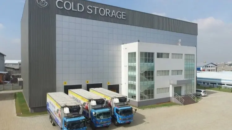 Erick Ingin Merger BUMN Perikanan Fokus Bangun Cold Chain