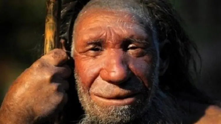 Neanderthal Punya Kemampuan Seperti Manusia Modern