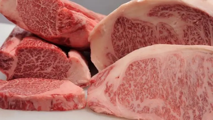 Mengenal Daging Sapi Wagyu Asal Jepang
