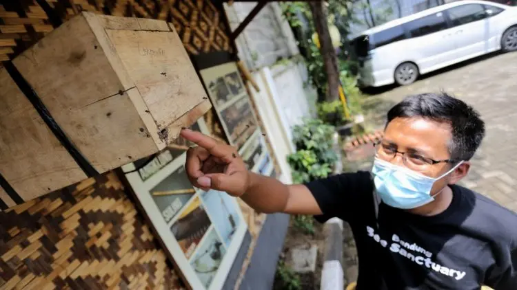 Bangun Ketahanan Pangan Wakil Wali Kota Bandung Apresiasi Upaya Kecamatan Astanaanyar