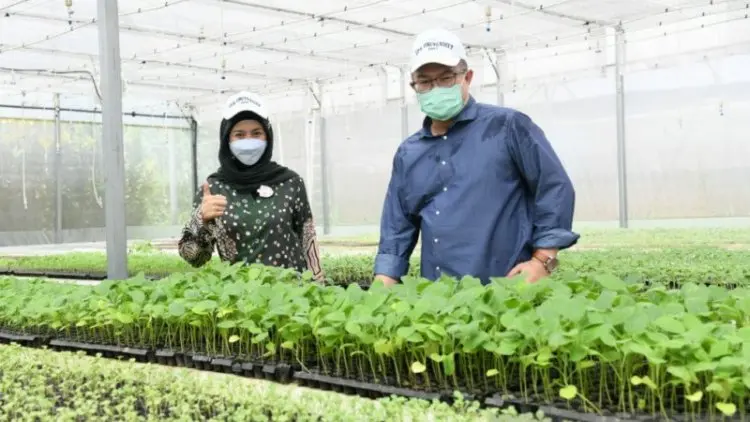 Desy Ratnasari Kunjungi Taman Teknologi Agribisnis IPB, Ada Apa?