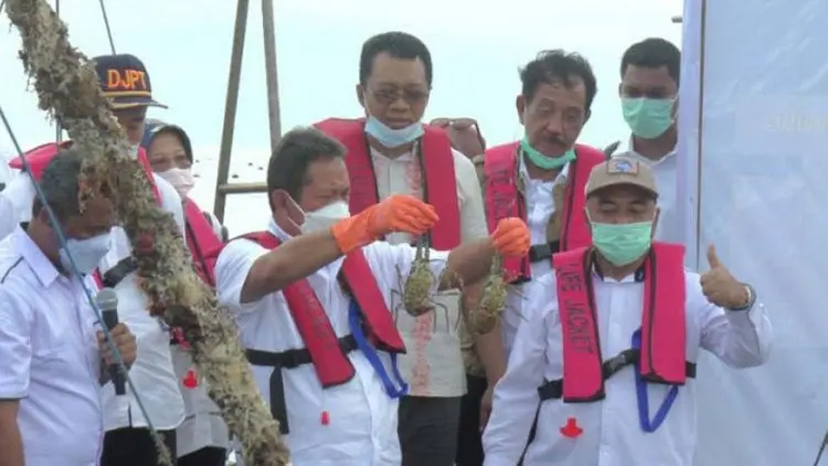 Menteri Trenggono Ingin Jadikan Indonesia Pembudidaya Lobster Terbaik