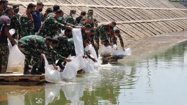 Kodam III Siliwangi Tabur 3,5 Kuintal Benih Ikan di Kolam Retensi Cieunteung