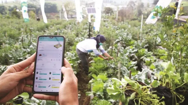 Petani Milenial Cikal Regenerasi