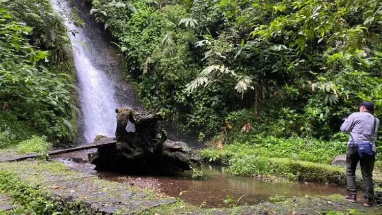 Menjaga Habitat Elang Inspirator Garuda di Gede Pangrango