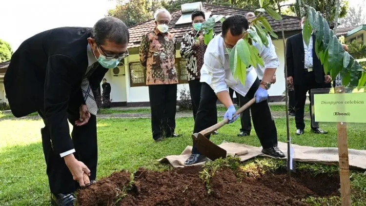 SEAMEO Biotrop Teliti Manfaat Minyak Atsiri untuk Covid-19