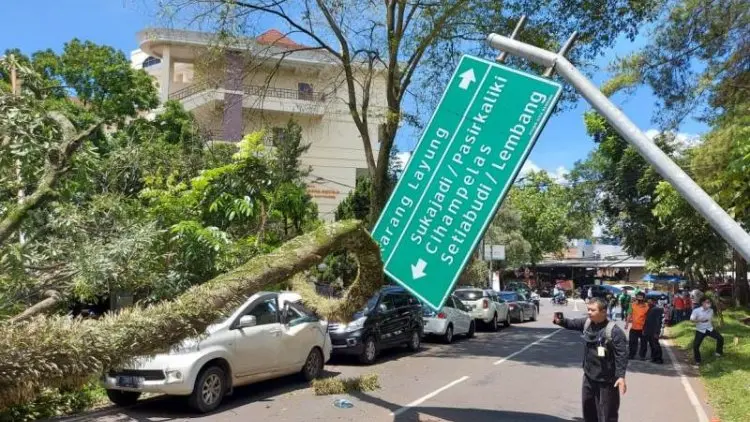 Angin Kencang, Pohon Tumbang Timpa Lima Unit Mobil di Jalan Bungur