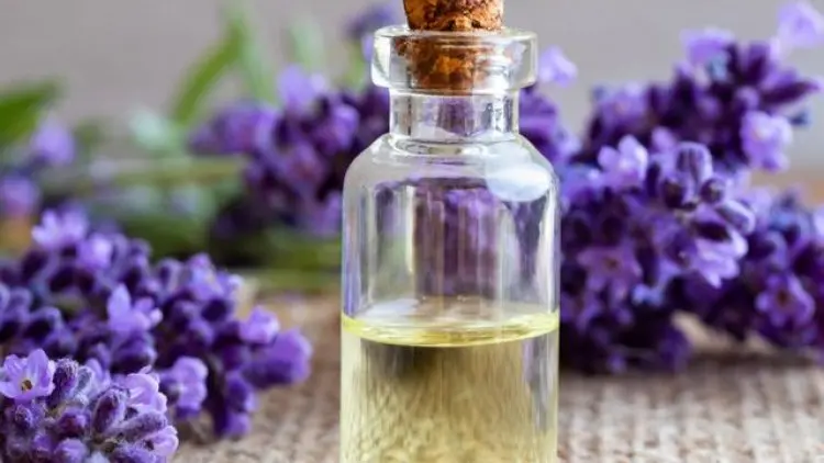 Selain Aroma Terapi, Minyak Rempah Atasi Insomnia