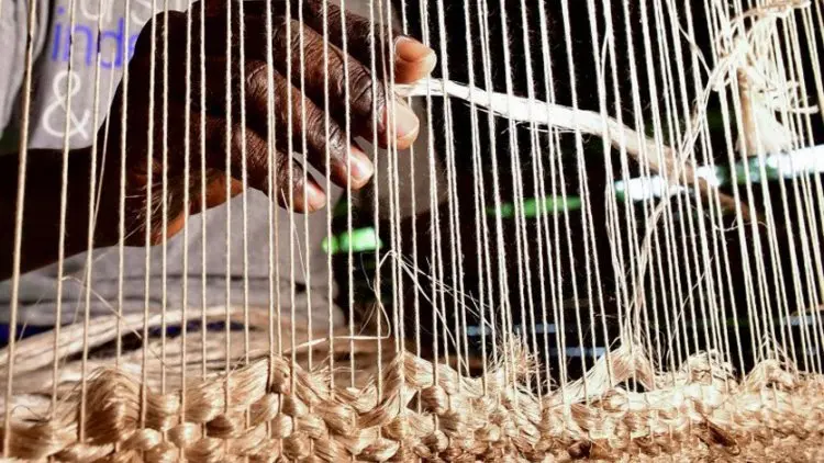 Perusahaan Rintisan Uganda Manfaatkan Limbah Pisang