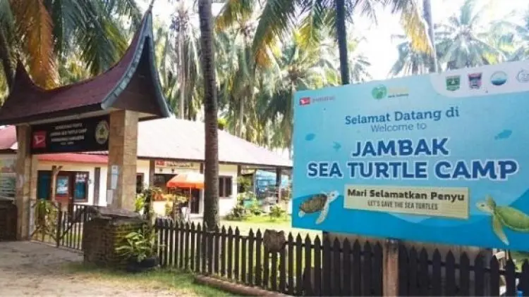 Daihatsu Terus Dukung Penuh Konservasi Penyu