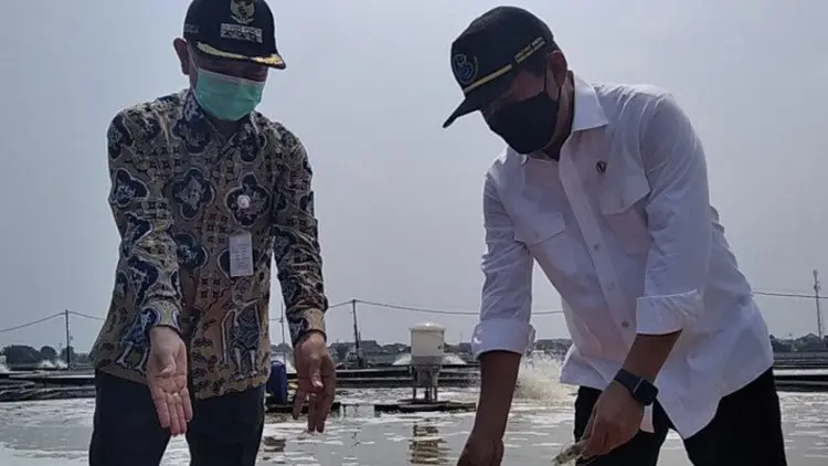 Menteri Kelautan Dorong Milenial Jadi Pembudidaya Tambak Hebat