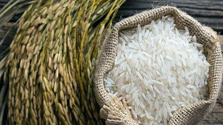 Hadis Daif: Zakat Fitrah Syarat Sah Diterima Puasa