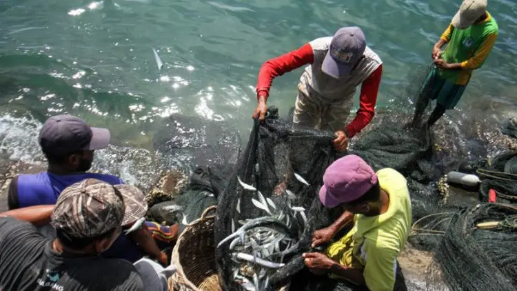 Perindo Siap Jadi "Offtaker" Hasil Nelayan dalam Induk BUMN Pangan