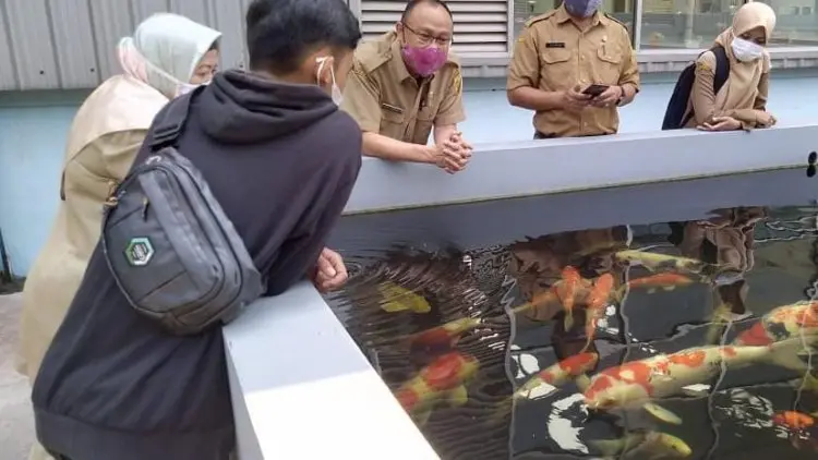 Pemulihan Ekonomi, Petani Ikan Hias di Ciseeng Dapat Pembinaan KKP dan Diskanak