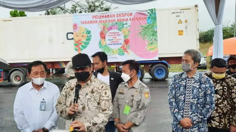 Dua Menteri Lepas Ekspor Tanaman Hias Minaqu Home Nature 
