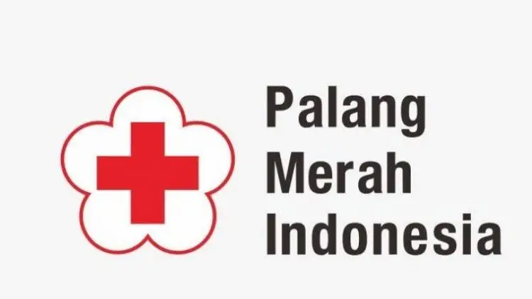 Hari Palang Merah Sedunia, Serba-serbi Lembaga Kemanusiaan