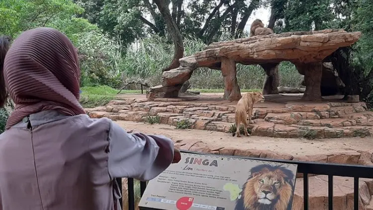 Selama Libur Lebaran 2021, Bandung Zoo Targetkan 60 Ribu Pengunjung