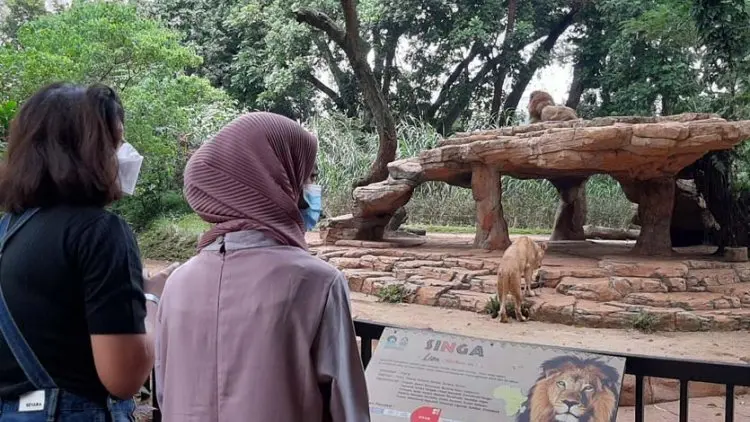 Masa Pandemi, Bandung Zoo Tempat Wisata Favorit Warga Bandung