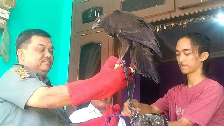 Siti Nurbaya Lepas Liar 'Rahman' dan 'Gabriel'