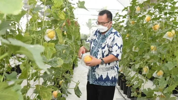 Keren, Mahasiswa IPB Didorong Jadi Petani Milenial