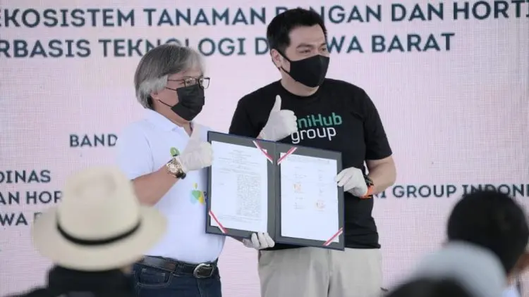 428 Petani Milenial Garap Komoditas Tanaman Hias dan Ubi Jalar