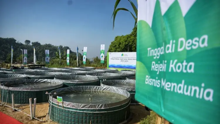 Sikap Kami: Mencintai Petani