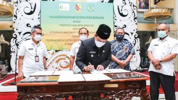 Bupati Bandung Gandeng Dua Pabrik Atasi Kelangkaan Pupuk
