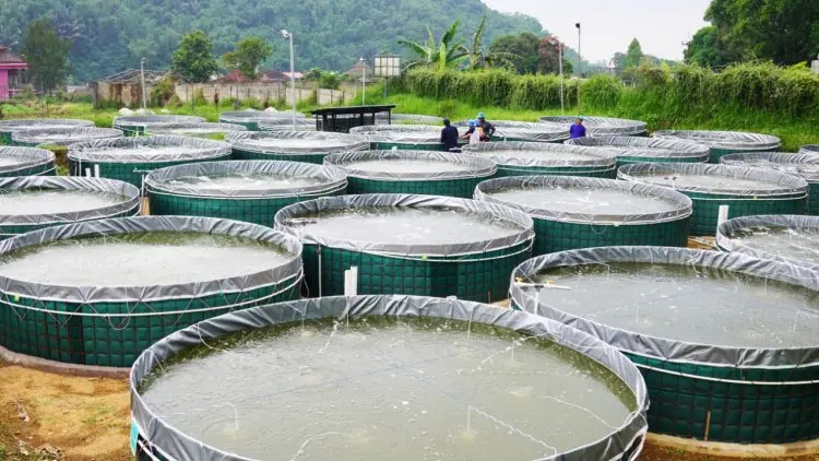 HKTI Jabar Minta Peserta Petani Milenial Optimistis Ikuti Program