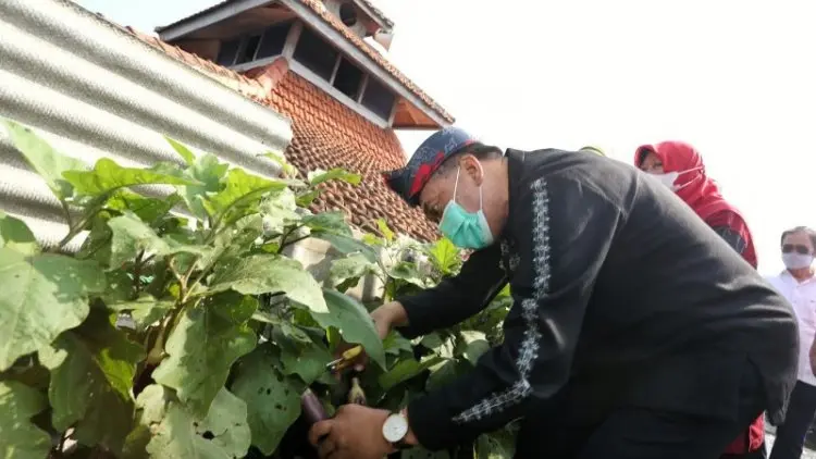 Buruan SAE Hadir di Rooftop Masjid Kalijaga