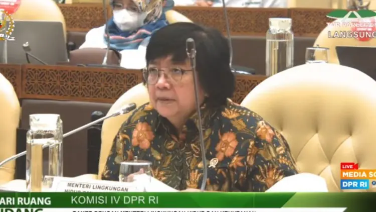 Menteri LHK: Titik Terendah Deforestasi Tercapai pada 2020