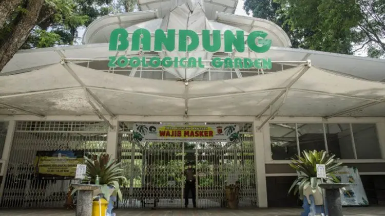 Kebun Binatang Bandung Galang Sumbangan untuk Sediakan Pakan Satwa