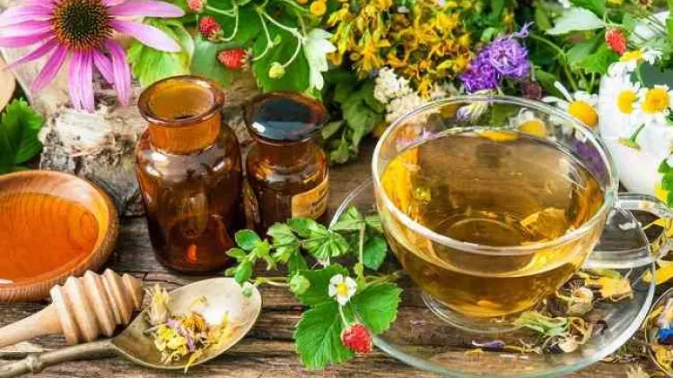Herbal untuk Pasien Covid-19 Bergejala Ringan yang Perlu Diperhatikan