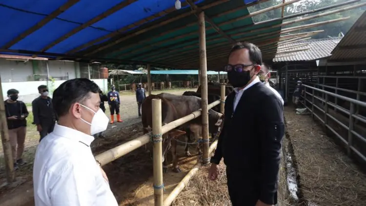Hewan Kurban Kota Bogor Potongnya di RPH Saja