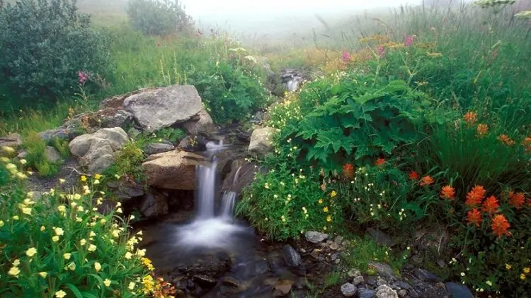 Sungai Surga dari Susu, Khamar, dan Madu