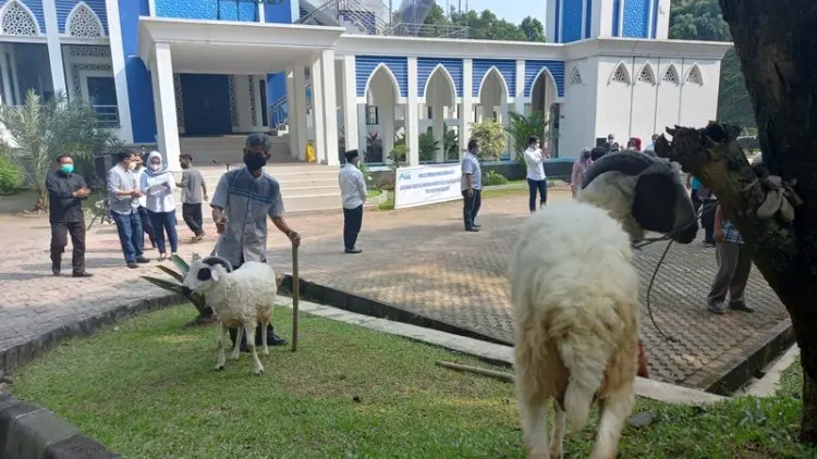 Perumda Tirta Kahuripan Bagikan 80 Hewan Kurban