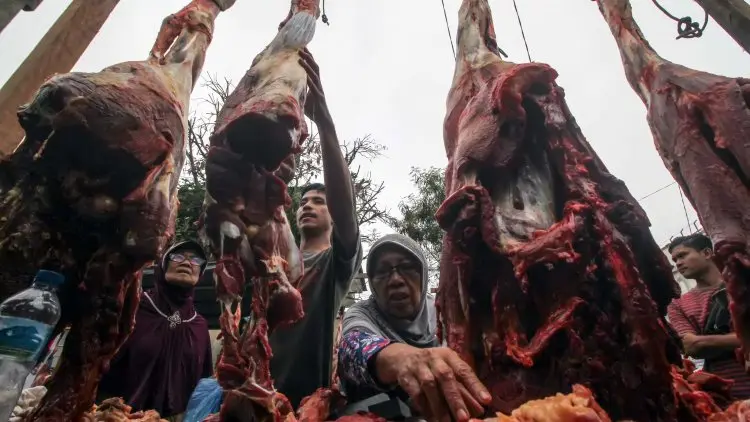 Pembagian Daging Kurban Sebaiknya Begini...