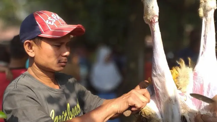 Hukum Menjual Daging, Kulit, dan lainnya