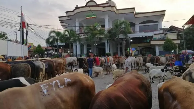 Bode Lor, Desa dengan Ratusan Hewan Kurban