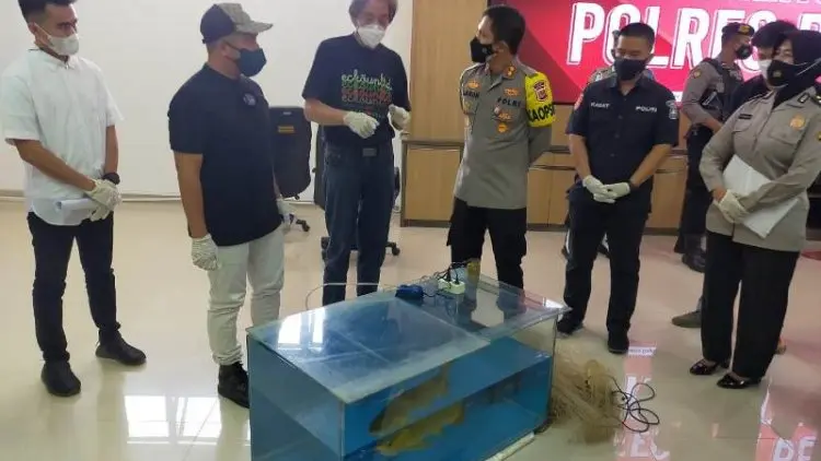 Sahabatnya jadi Korban Pencurian, Irfan Hakim Geram