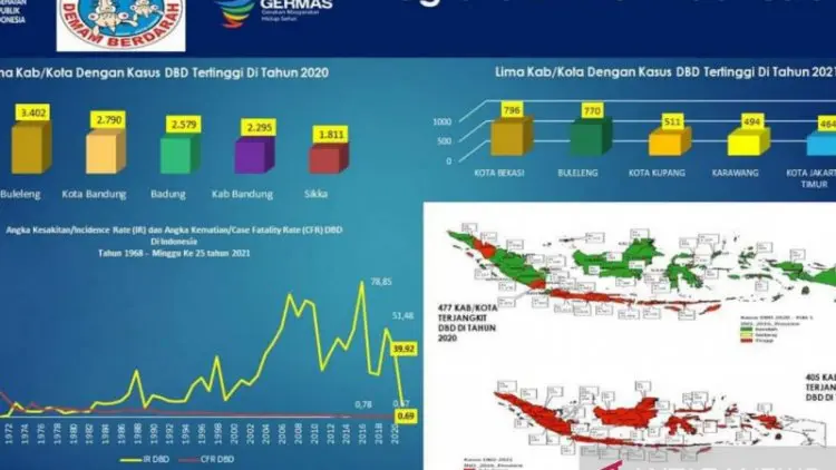 Kemenkes: Lima Daerah Duduki Angka Kasus DBD Tertinggi di 2021