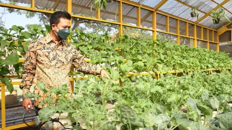 Dadang Supriatna Ajak Warga Bercocok Tanam